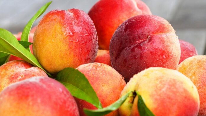 консервированные персики