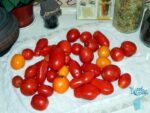 рецепт аджики з помідорів